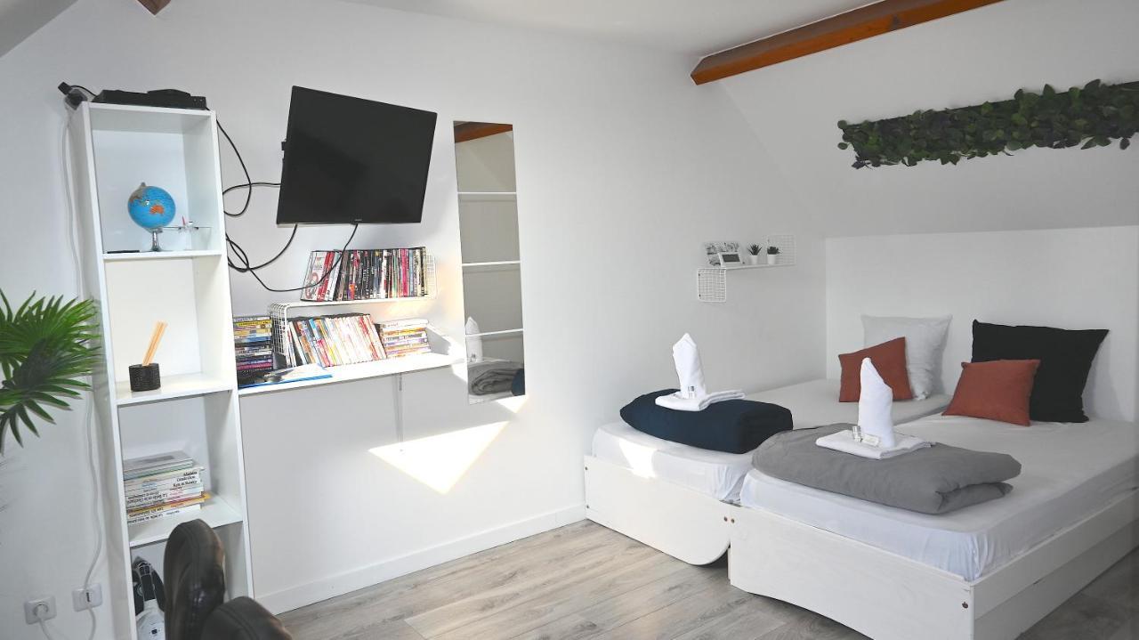 Cosy Chambre Chez Habitant 5Mn Aeroport Roissy Cdg Ξενοδοχείο Le Mesnil-Amelot Εξωτερικό φωτογραφία